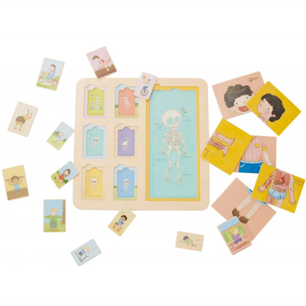 CLASSIC WORLD Žmogaus kūnas Edukacinės dėlionės blokai vaikams Rungtynių MONTESSORI 19 el. CLASSIC WORLD Žmogaus kūnas Edukacinės dėlionės blokai vaikams Rungtynių MONTESSORI 19 el.