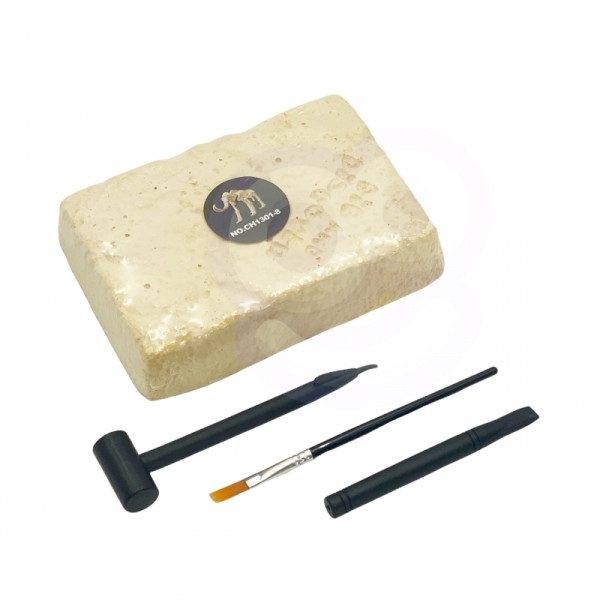 WOOPIE Креативная игрушка Скелет динозавра Археологические раскопки