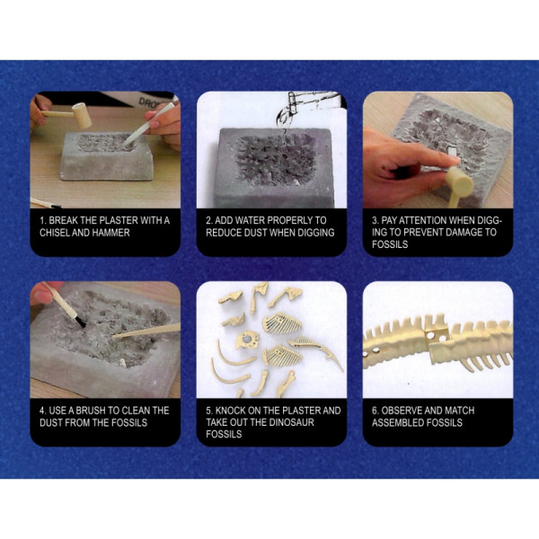 WOOPIE Креативная игрушка Скелет динозавра Археологические раскопки