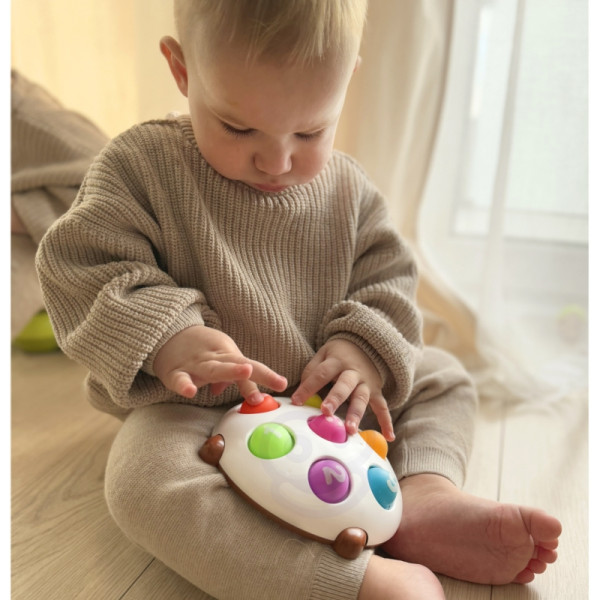 WOOPIE ežiukas Pop-it numeriai Fidget žaislai WOOPIE ežiukas Pop-it numeriai Fidget žaislai