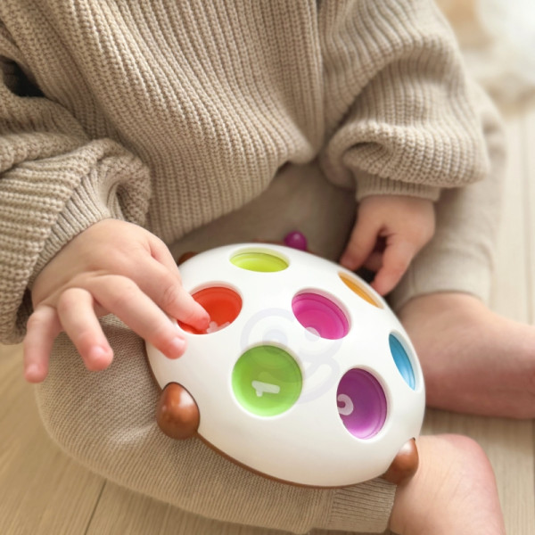 WOOPIE ežiukas Pop-it numeriai Fidget žaislai WOOPIE ežiukas Pop-it numeriai Fidget žaislai