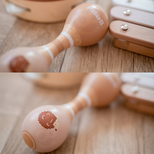 Набор музыкальных инструментов VIGA PolarB с ёжиком