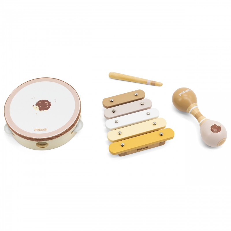 VIGA PolarB Zestaw Instrumentów Muzycznych Z Jeżykiem