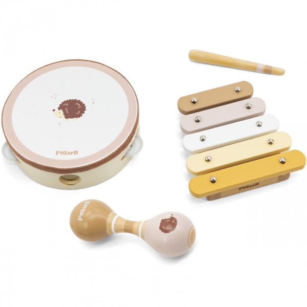 Набор музыкальных инструментов VIGA PolarB с ёжиком