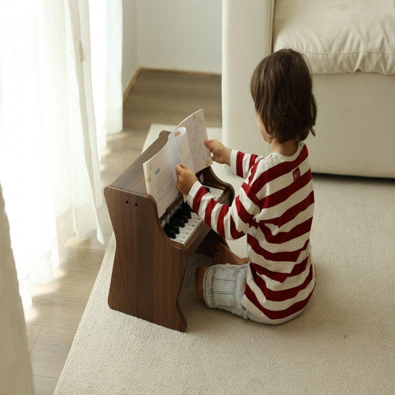 CLASSIC WORLD Wooden Classical Piano + Learning Book