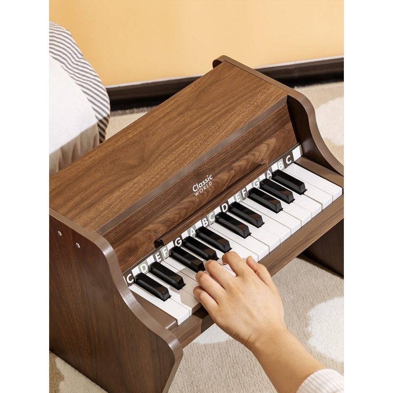 CLASSIC WORLD Wooden Classical Piano + Learning Book