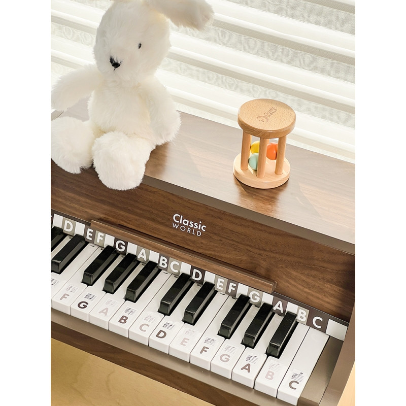 CLASSIC WORLD Wooden Classical Piano + Learning Book