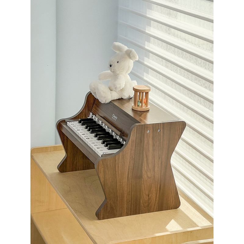 CLASSIC WORLD Wooden Classical Piano + Learning Book