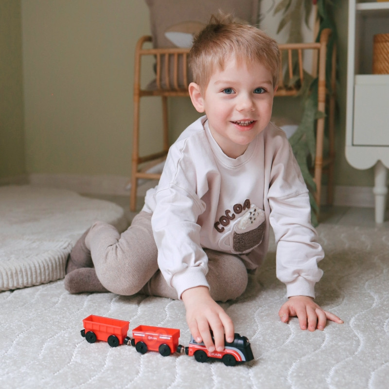 Электровоз WOOPIE с магнитными вагонами