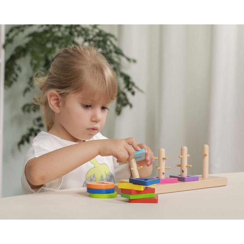 VIGA Medinės kaladėlės su Montessori formų rūšiavimo įrenginiu