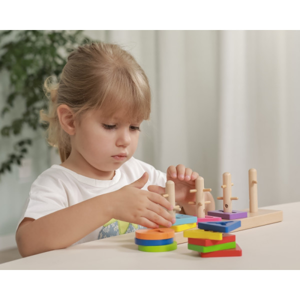VIGA Medinės kaladėlės su Montessori formų rūšiavimo įrenginiu VIGA Medinės kaladėlės su Montessori formų rūšiavimo įrenginiu