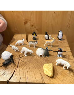 WOOPIE Arktinių gyvūnų figūrėlių rinkinys 16 vnt. 2