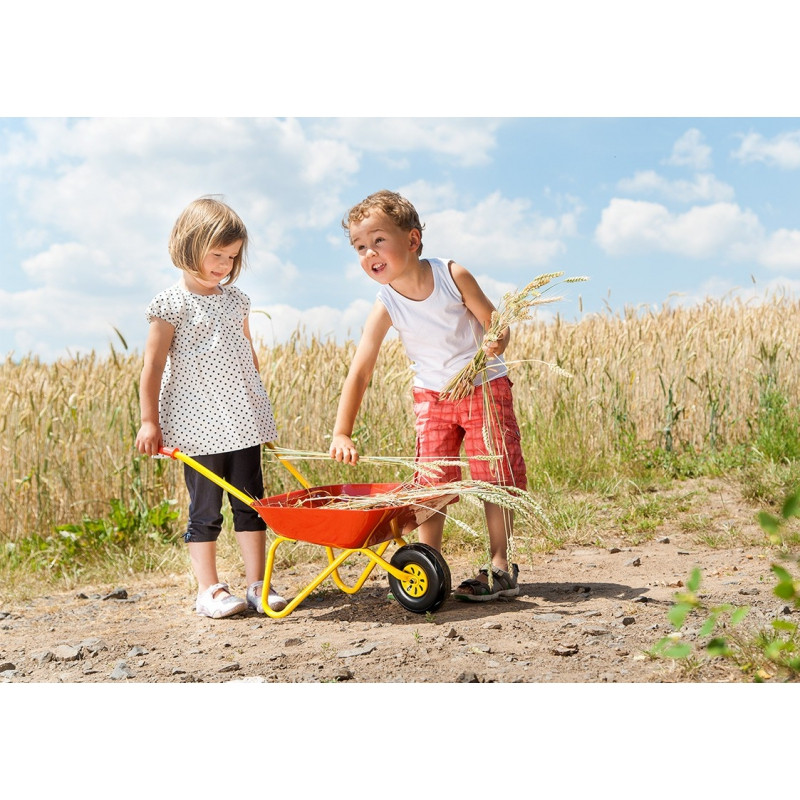 Rolly Toys Красная тачка для детей