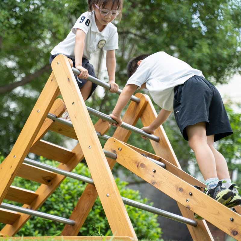 CLASSIC WORLD EDU Medinis laipiojimo rėmas XL Montessori laipiojimo kopėčių rinkinys