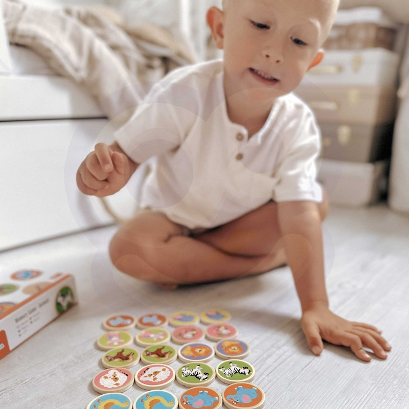 VIGA Animal Memory Game