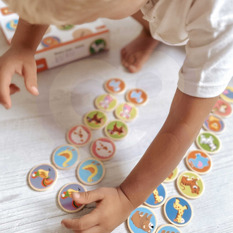 VIGA Animal Memory Game