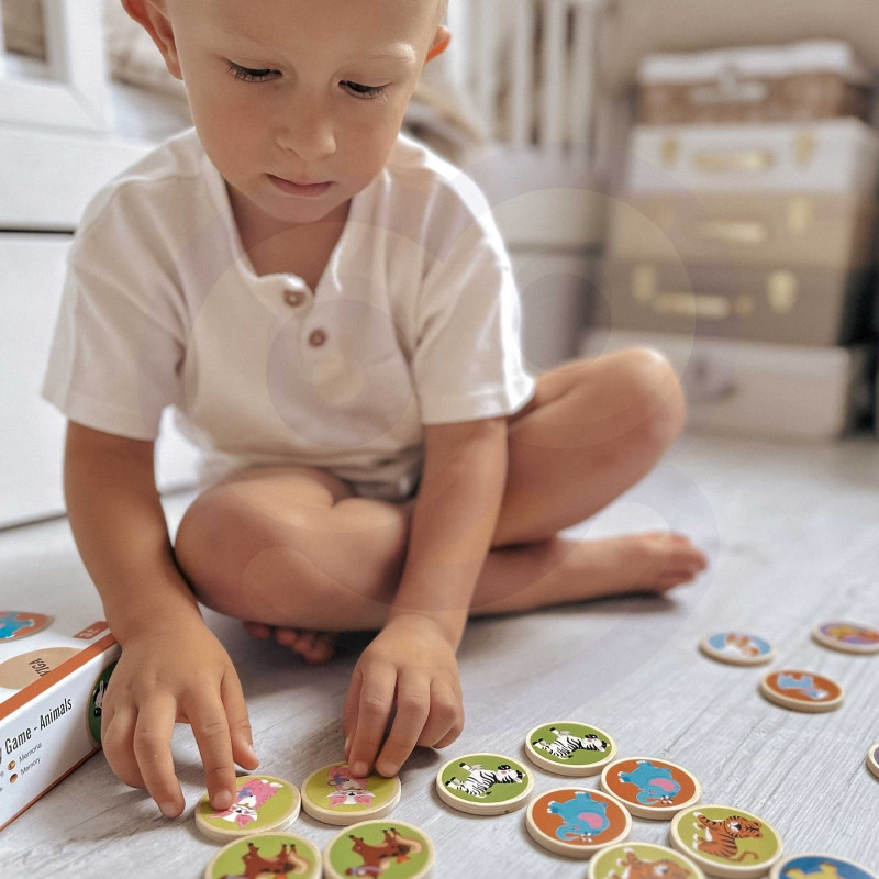 VIGA Animal Memory Game