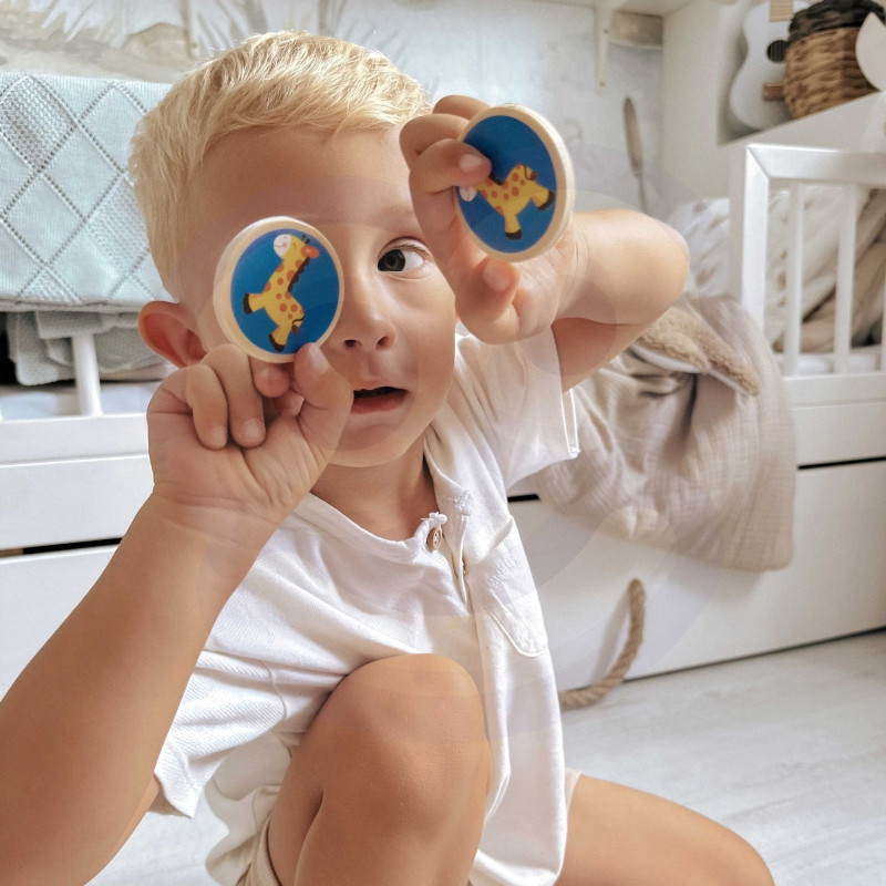 VIGA žaidimas Naminių gyvūnėlių atminties atmintis