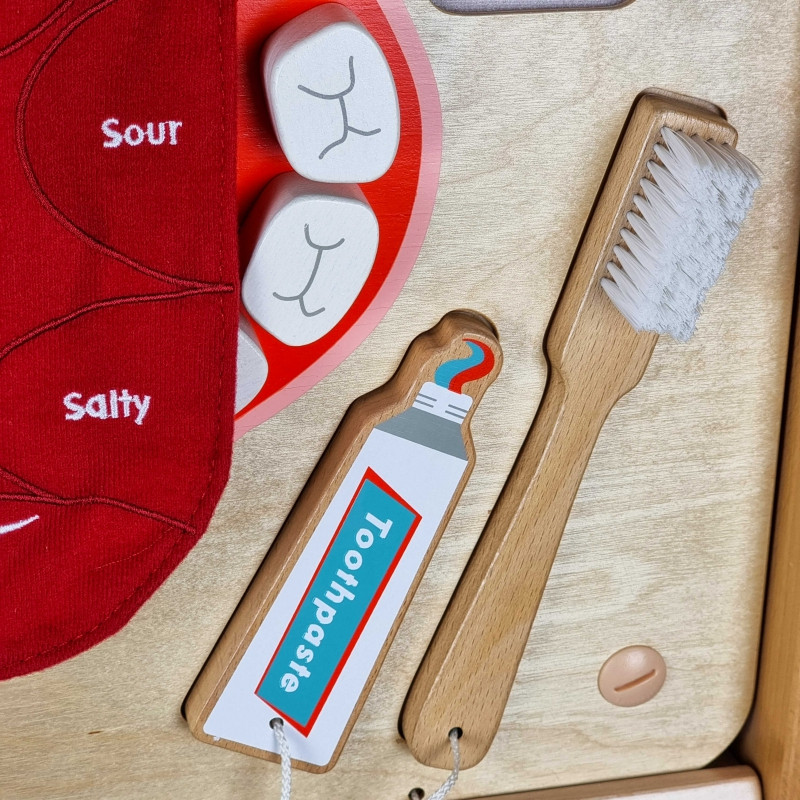 MASTERKIDZ Burnos higienos sieninė sensorinė lenta Flex Montessori