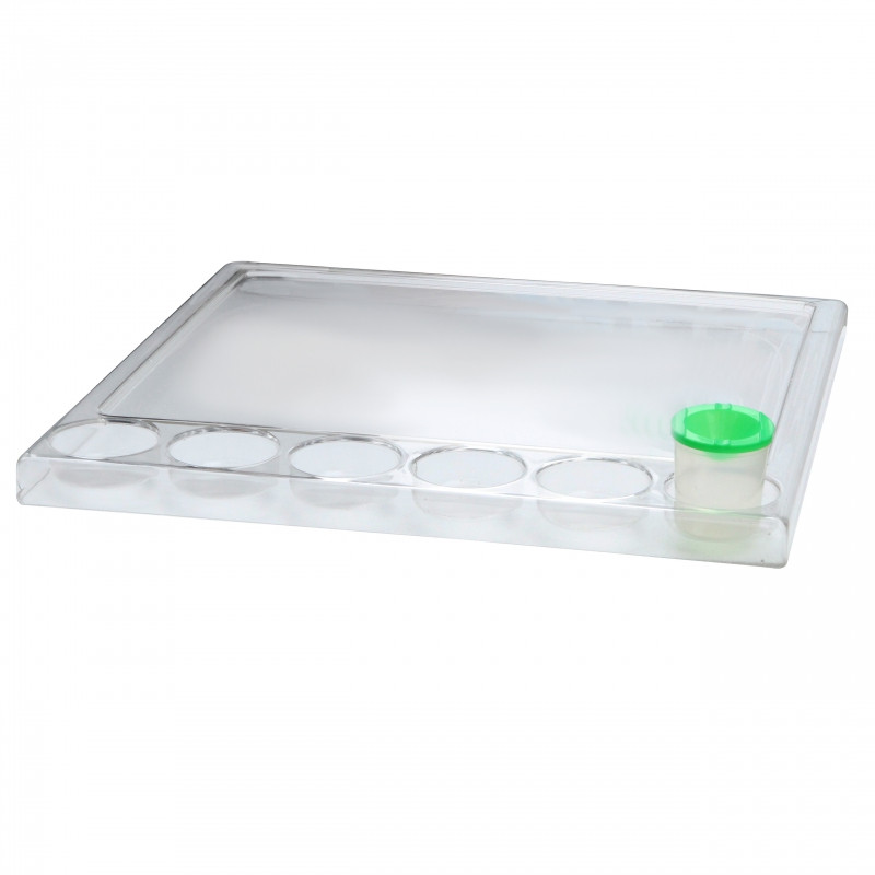 MASTERKIDZ Square Montessori tapybos padėklas