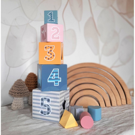 VIGA PolarB piramidė mokomoji dėlionės rūšiuotojas kubo blokai