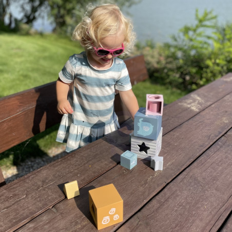 VIGA PolarB piramidė mokomoji dėlionės rūšiuotojas kubo blokai