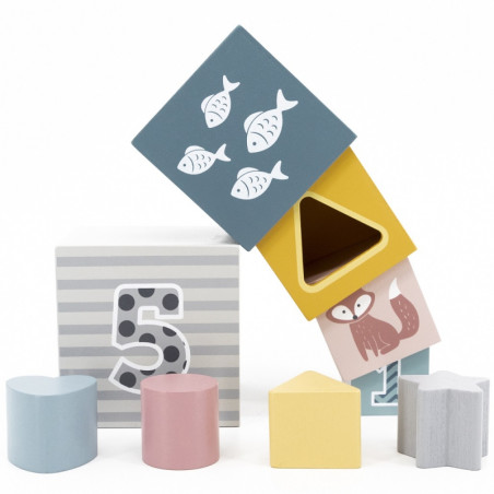 VIGA PolarB piramidė mokomoji dėlionės rūšiuotojas kubo blokai