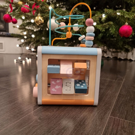 VIGA PolarB Activity Box medinis edukacinis žaidimų centras 5in1 kubas