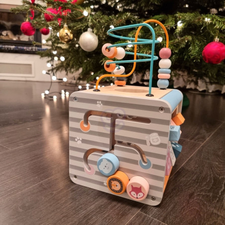 Деревянный развивающий игровой центр VIGA PolarB Activity Box, кубик 5 в 1