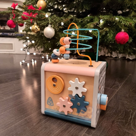 Деревянный развивающий игровой центр VIGA PolarB Activity Box, кубик 5 в 1