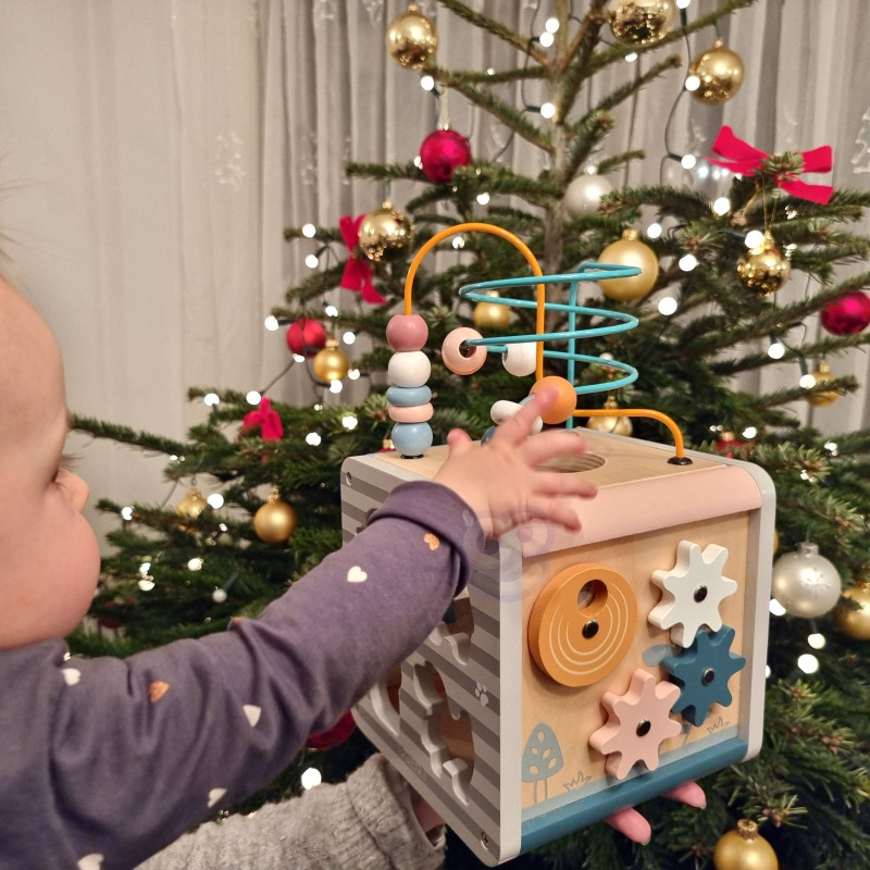 VIGA PolarB Activity Box medinis edukacinis žaidimų centras 5in1 kubas