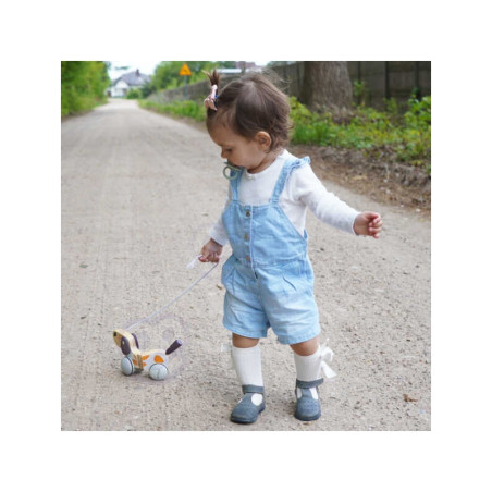 VIGA PolarB Drewniany Piesek do Ciągnięcia VIGA PolarB Drewniany Piesek do Ciągnięcia