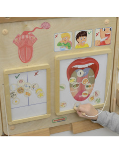 MASTERKIDZ Montessori Sense of Taste Educational Board 2