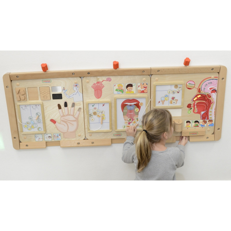 MASTERKIDZ Монтессори-доска для развития чувства вкуса