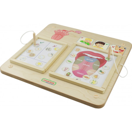 MASTERKIDZ Montessori Sense of Taste Educational Board