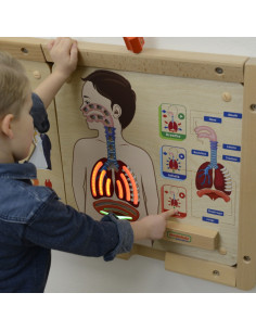 MASTERKIDZ Montessori edukacinis sienos elementas "Kvėpavimo sistema" 2