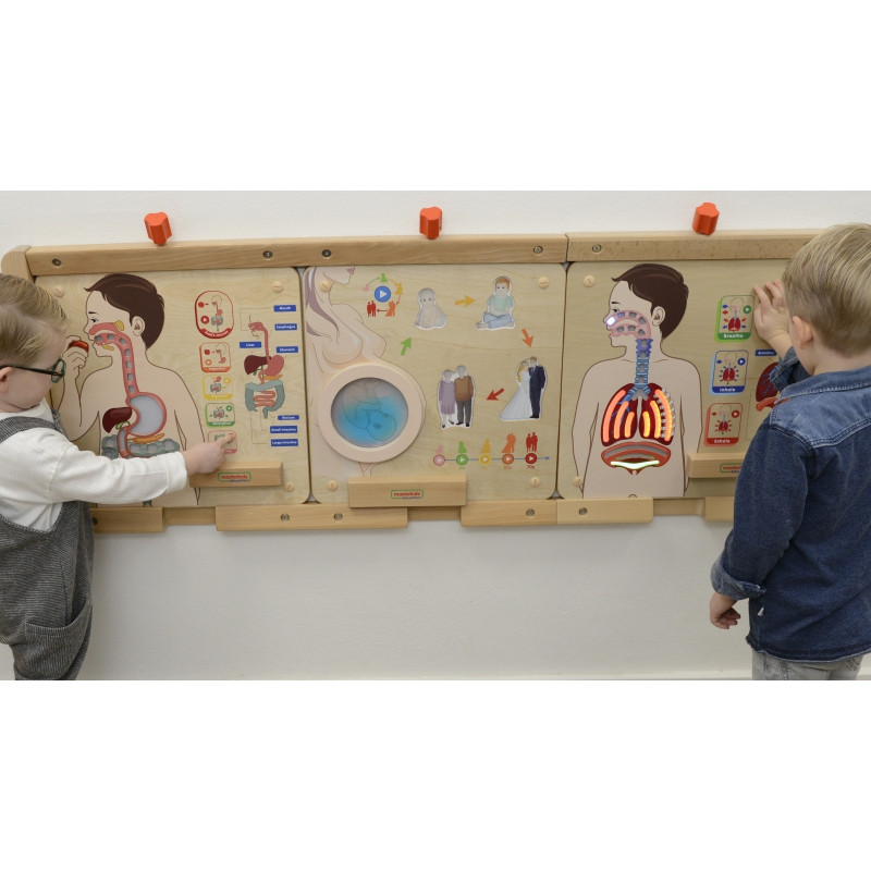MASTERKIDZ Montessori edukacinis sienos elementas "Kvėpavimo sistema"