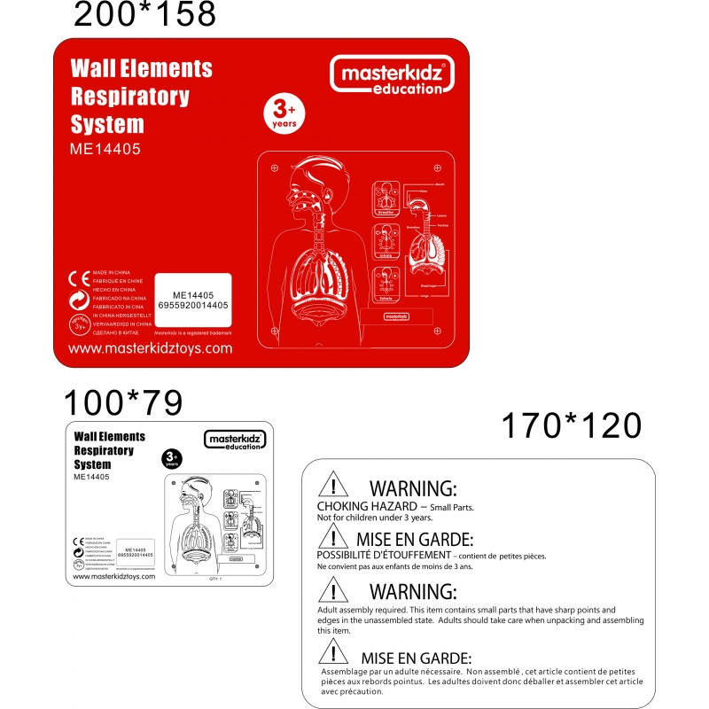 MASTERKIDZ Tablica Edukacyjna Układ Oddechowy Montessori
