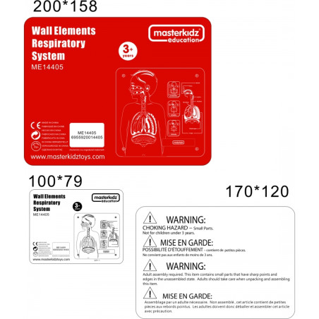 MASTERKIDZ Монтессори Дыхательная Система Образовательная Учебная ...