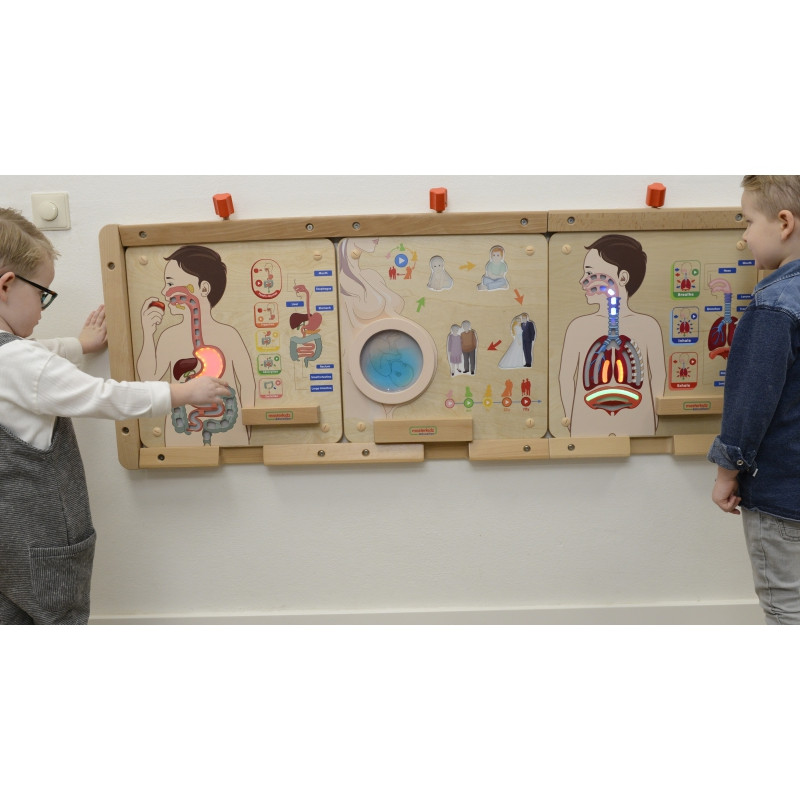 MASTERKIDZ Montessori Digestive System Educational Board
