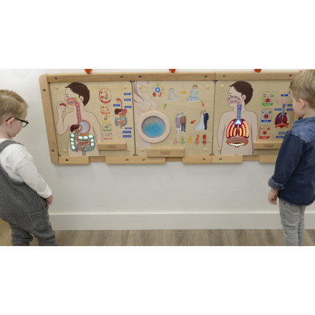 MASTERKIDZ Montessori virškinimo sistemos švietimo taryba