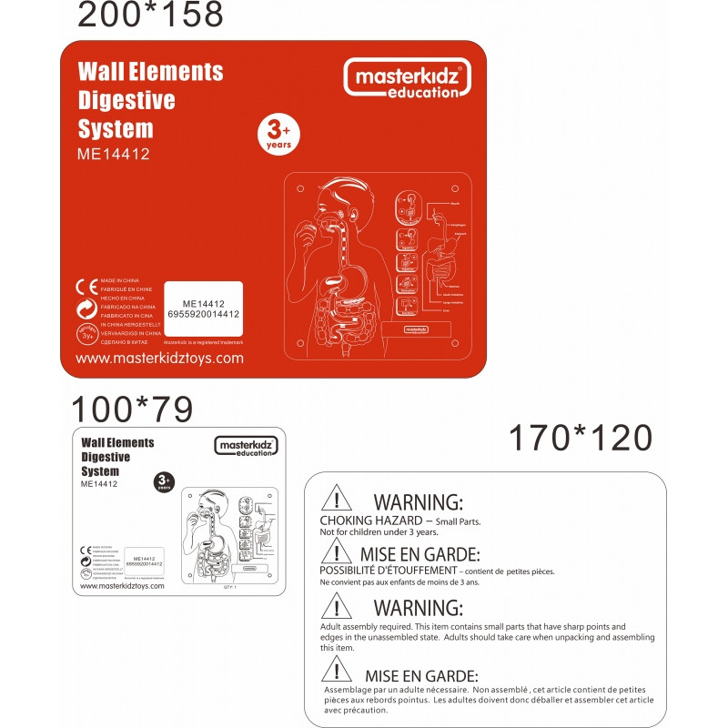 MASTERKIDZ Montessori Digestive System Educational Board