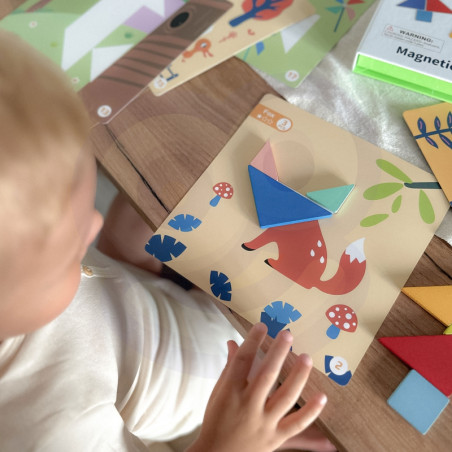 TOOKY TOY Tangram Dėlionė vaikams Mokymosi formos Figūros Figūros Formos 18vnt.