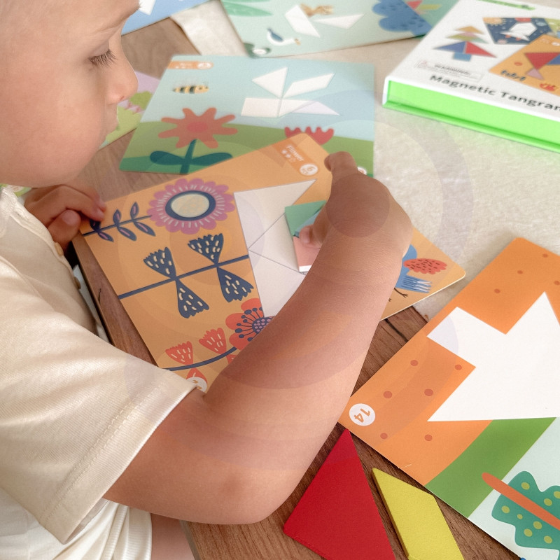 TOOKY TOY Tangram Dėlionė vaikams Mokymosi formos Figūros Figūros Formos 18vnt.