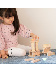 CLASSIC WORLD Edukacinis žaidimas Paukščių kaladėlių klojimas 23 vnt. 2