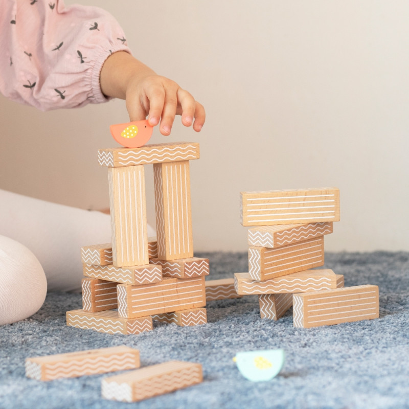 CLASSIC WORLD Развивающая игра: Собери птиц 23 шт.