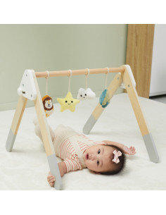 VIGA PolarB Baby Gym stovas kūdikiams 2