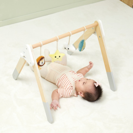 VIGA PolarB Baby Gym stovas kūdikiams