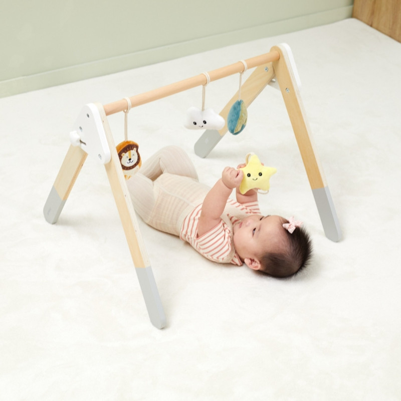 VIGA PolarB Baby Gym stovas kūdikiams