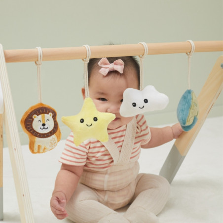 VIGA PolarB Baby Gym stovas kūdikiams